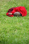 Bhutan, Paro: Monk on grass outside Paro Dzong with cellphone - photo by J.Pemberton