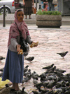 Bosnia-Herzegovina - Sarajevo:  Bosniak woman feeding the pigeons (photo by J.Kaman)