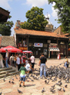 Bosnia-Herzegovina - Sarajevo:  old town - feeding the pigeons (photo by J.Kaman)