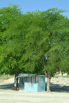 Maun, North-West District, Botswana: phone box, Botswana style - metal hut under the tree shade - photo by J.Banks