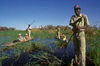 Okavango delta, North-West District, Botswana: makoro canoes glide through the shallow waters with the help of poles - mokoro safari - punting - photo by C.Lovell