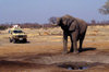 Chobe National Park, North-West District, Botswana: a bull elephant drinks from a manmade watering hole in the Savuti Marsh - Toyota 4wd with photo safari tourists in the background - photo by C.Lovell