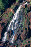 Brazil / Brasil - Foz do Iguau (Parana): Brazilian part of Iguau falls - Unesco world heritage site  (photo by L.Moraes)