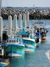 Brittany / Bretagne  - Ctes-D'Armor - St Quay Portrieux - Fishing boats (photo by T.Marshall)