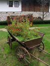 Arbanasi - Veliko Turnovo province: flower cart (photo by J.Kaman)