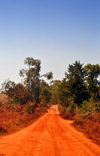 Rutana province, Burundi: African dirt road - photo by M.Torres