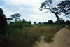 Cabinda: rural road / estrada rural (photo by FLEC)