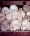 Cambodia / Cambodge - Phnom Penh: Choeung Ek killing fields - silent witnesses of the Khmer Rouge (photo by M.Torres)