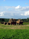 Canada / Kanada - Pelham/Fenwick, Ontario: after the harvest - round hay bales ready for transportation - photo by R.Grove