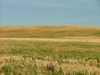 Pelham/Fenwick, Ontario, Canada / Kanada: in the fields - photo by R.Grove