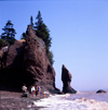 Hopewell Rocks, Bay of Fundy, New Brunswick, Canada: beach with rock formations - photo by A.Bartel