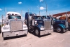 Canada / Kanada - Calgary (Alberta): Kenworth trucks (photo by M.Torres)