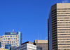 Winnipeg, Manitoba, Canada: Downtown skyscrapers - left to right: TD Centre, Royal Bank Building, Richardson Building, Commodity Exchange - photo by M.Torres