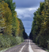 Canada / Kanada - Saskatchewan: secluded dirt road in Northern Saskatchewan used for lumbering industry - photo by M.Duffy