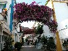 Canary Islands - Gran Canaria - Puerto Mogn: arcos y flores / arches and flowers (photo by Angel Hernandez)