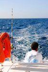 Sal island / Ilha do Sal - Cape Verde / Cabo Verde: fishing in Cape Verdian waters - Marlin t-shirt - photo by E.Petitalot