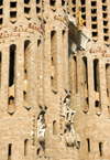 Barcelona, Catalonia: Sagrada Familia cathedral - detail of the spires - Temple Expiatori de la Sagrada Familia - photo by B.Henry