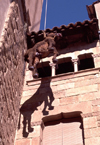 Catalonia / Catalunya - Spain - Solsona, Solsons, Lleida province: hanging a donkey - carnival - photo by F.Rigaud