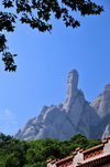 Montserrat, Catalonia: forest and 'El Cavall Bernat' pinnacle in the Montserrat mountain range - photo by M.Torres