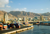 Antofagasta, Chile: port and skyline | puerto y panorama Urbano - photo by D.Smith