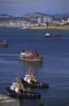 Valparaso, Chile: large ocean going cargo ships and tug boats in the harbour - photo by C.Lovell