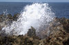 Christmas Island: coastline blowhole spurting water (photo by Bill Cain)