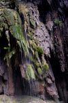 Christmas Island: waterfall in the island's interior (photo by Bill Cain)
