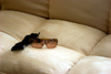 Colombia: woman's sunglasses on a velvet sofa - photo by E.Estrada