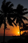 Moroni, Grande Comore / Ngazidja, Comoros islands: coconut trees at sunset - view from the Corniche - photo by M.Torres