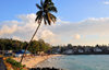 Itsandra, Grande Comore / Ngazidja, Comoros islands: beach view - coconut tree - photo by M.Torres