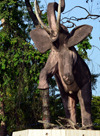 Brazzaville, Congo: elephant sculpture on the airport road, near Patte d'Oie Forestry Reserve, symbol of the preservation of fauna and flora in the Congo - photo by M.Torres
