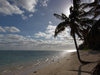 Cook Islands - Rarotonga island: sun behind palm tree - tropical beach - photo by B.Goode