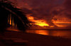 Cook Islands - Rarotonga island: palm silhouette - sunset - photo by B.Goode