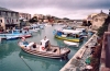 Corsica / Corse - Centuri-Port: fishing boat in the port (photo by M.Torres)