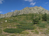 Corsica - Col de Vergio (border of Haute-Corse and Corse du Sud): mountains in Central Corsica - 1477 m (photo by J.Kaman)