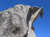 Corsica - Filitosa (Corse du Sud): Dinosaurus rock (photo by J.Kaman)