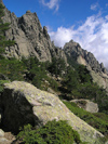 Corsica - Bavella (Corse du Sud): trees on the ridge (photo by J.Kaman)