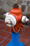 Costa Rica - San Ramn, Alajuela province: colorful fire hydrant - photo by H.Olarte