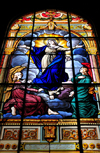 San Jos, Costa Rica: Metropolitan Cathedral - stained glass - Virgin Mary - photo by M.Torres