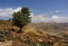 Crete - Mounts Idi and Nida and the plateu below - Psiloritis (photo by A.Dnieprowsky)