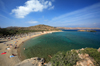 Crete - Vai (Lassithi prefecture): beach and palm date forest - Theofrastos (Phoenix Theofrasti) (photo by Alex Dnieprowsky)