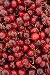 Croatia - Dubrovnik: cherries at the market - photo by J.Banks