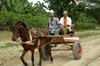 Cuba - Holgun province - horse cart - photo by G.Friedman