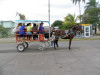 Cuba - Cienfuegos: environmentally correct public transportation - photo by L.Gewalli