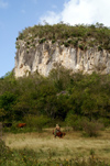 Cuba - Holgun province - cowboy and table mountain - photo by G.Friedman