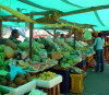 Curaao - Willemstad / CUR: produce market (photo by Robert A. Ziff)