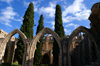 Bellapais, Kyrenia district, North Cyprus: Bellapais abbey - arcade and Mediterranean Cypress trees in the courtyard - photo by A.Ferrari