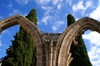 Bellapais, Kyrenia district, North Cyprus: Bellapais abbey - arcade and Mediterranean Cypress trees - photo by A.Ferrari