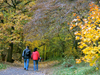 Czech Republic - Ceske stredohori mountains: hikers - Autumn foliage - Usti nad Labem Region - photo by J.Kaman