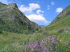Russia - Dagestan - Tsumada rayon - Angida: spring in the valley (photo by G.Khalilullaev)